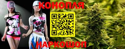 сатива Аша