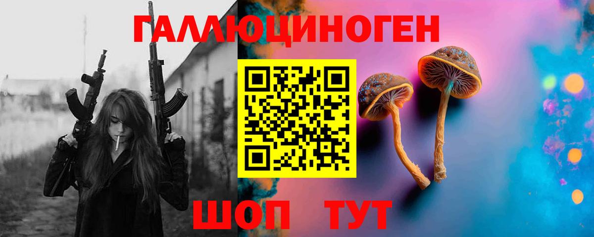 Псилоцибиновые грибы Psilocybine cubensis Будённовск